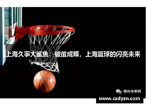 上海久事大鲨鱼:破茧成蝶,上海篮球的闪亮未来